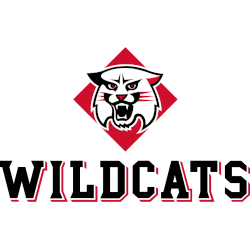 Davidson Wildcats Alternate Logo 2010 - 2023